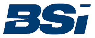 BSI Informatique