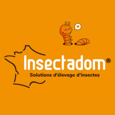 Insectadom