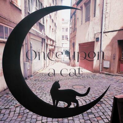 Once Upon A Cat - bar à chats