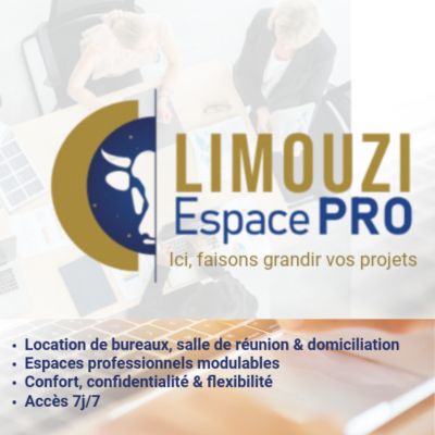 Limouzi Espace Pro